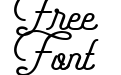 Freeday Script Bold Freeday Script Bold