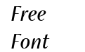 Freight Neo Cnd Pro Book Italic