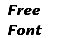 Freight Neo Pro Black Italic