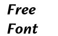 Freight Neo Pro Bold Italic