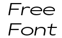 Gamay Wide Light Italic Gamay Wide Light Italic