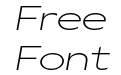 Gamay Wide Thin Italic Gamay Wide Thin Italic