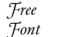 Garamond BE Swash Italic Garamond BE Swash Italic
