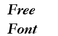 Garamond MT W04 Bold Italic