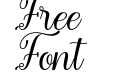 Gelisha Script