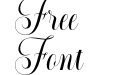 Generale Script