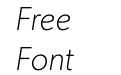 Gibson Thin Italic
