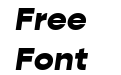 Gopher Text Black Italic Gopher Text Black Italic