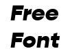 Gopher Text Heavy Italic