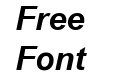 HP Arial Bold Italic HP Arial Bold Italic
