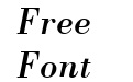 HP Bodon Italic