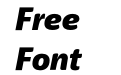 Haptic Pro Black Italic Haptic Pro Black Italic
