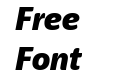 Haptic Pro Black Italic Haptic Pro Black Italic