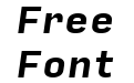 Input Sans Bold Italic Input Sans Bold Italic