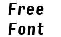 Input Sans Compressed Bold Italic Input Sans Compressed Bold Italic