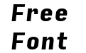 Input Sans Condensed Black Italic Input Sans Condensed Black Italic