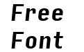 Input Sans Condensed Bold Italic Input Sans Condensed Bold Italic