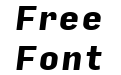 Input Sans Narrow Black Italic Input Sans Narrow Black Italic