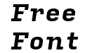 Input Serif Bold Italic Input Serif Bold Italic