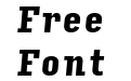 Input Serif Compressed Black Italic Input Serif Compressed Black Italic
