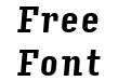 Input Serif Compressed Bold Italic Input Serif Compressed Bold Italic