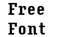 Input Serif Compressed Bold Input Serif Compressed Bold