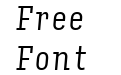 Input Serif Compressed Light Italic Input Serif Compressed Light Italic
