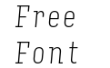 Input Serif Compressed Thin Italic Input Serif Compressed Thin Italic