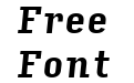 Input Serif Condensed Bold Italic Input Serif Condensed Bold Italic