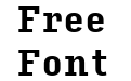 Input Serif Condensed Bold Input Serif Condensed Bold