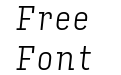 Input Serif Condensed Extra Light Italic Input Serif Condensed Extra Light Italic