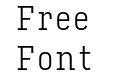 Input Serif Condensed Extra Light Input Serif Condensed Extra Light
