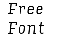 Input Serif Condensed Light Italic Input Serif Condensed Light Italic