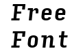 Input Serif Condensed Medium Italic Input Serif Condensed Medium Italic