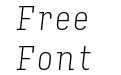 Input Serif Condensed Thin Italic Input Serif Condensed Thin Italic