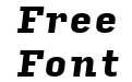 Input Serif Narrow Black Italic Input Serif Narrow Black Italic