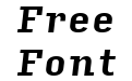 Input Serif Narrow Bold Italic Input Serif Narrow Bold Italic