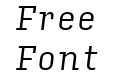 Input Serif Narrow Light Italic Input Serif Narrow Light Italic