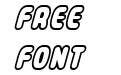 LE Gothic Type LE Gothic Type