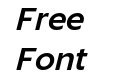 Liszt FY W03 Bold Italic Liszt FY W03 Bold Italic