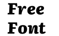 Literata 12pt Extra Bold Italic Literata 12pt Extra Bold Italic