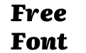 Literata 18pt Black Italic(1) Literata 18pt Black Italic(1)