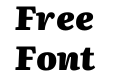 Literata 24pt Black Italic(1) Literata 24pt Black Italic(1)