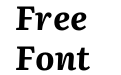 Literata 24pt Bold Italic Literata 24pt Bold Italic