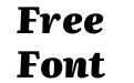 Literata 36pt Black Italic(1) Literata 36pt Black Italic(1)