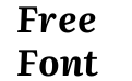 Literata 36pt Bold Italic Literata 36pt Bold Italic