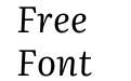 Literata 36pt Italic(1)