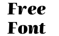 Literata 60pt Black Italic(1) Literata 60pt Black Italic(1)