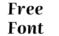 Literata 60pt Bold Italic(1) Literata 60pt Bold Italic(1)