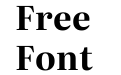 Literata 60pt Bold(1) Literata 60pt Bold(1)